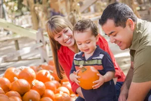 Happy couple and toddler son picking pumpkins